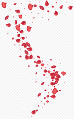 Red_Rose_Petal_Transparent_Background_172.eps