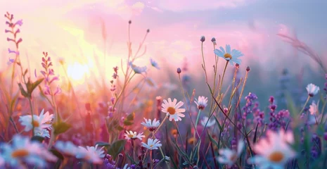 Fotobehang Beautiful spring landscape with a blooming meadow, daisies and green grass in the foreground. view of beautiful nature at sunrise or sunset. A panorama of a valley, hills and forest in the background © Divine123victory