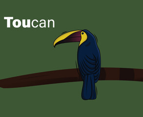 Toucan bird cartoon icon logo vector illustration design. Cute Tropical birds isolated on green background.
