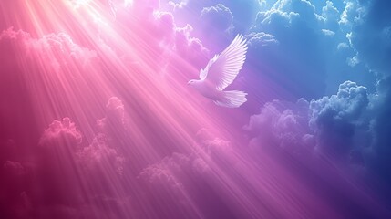   A white dove flies against a backdrop of clouds, some of which emit radiant beams of light
