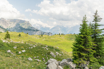 Alpine hiking path in the Swiss Alps near Schynige Platte. Beautiful hiking trail in an Swiss...