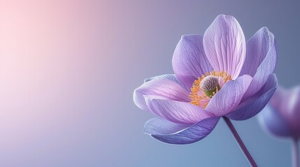   A tight shot of a purplish bloom against a backdrop of blue and pink, with a hazy sky above - obrazy, fototapety, plakaty
