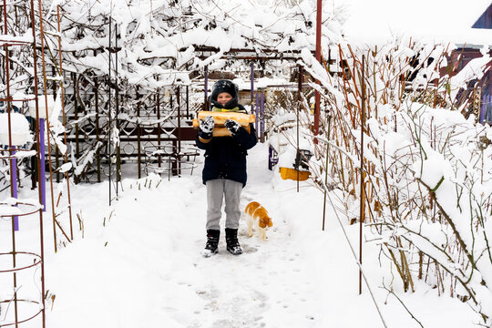 Boy with at heap and cat of wood in backyard. Country lifestyle. 