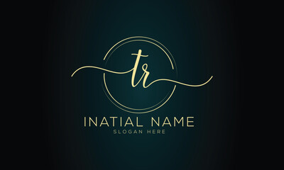 Initial logo handwriting logo signature logo design vector template

