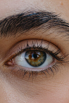 Close Up woman's eye with heterochromia and black eyelashes 