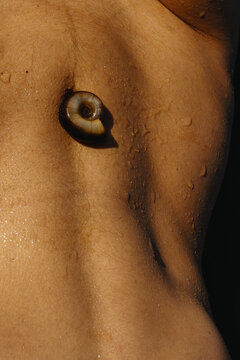 Close up photo of woman's skin texture of belly and a navel 