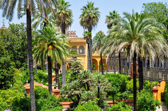 Seville Alcazar gardens in summer, Spain