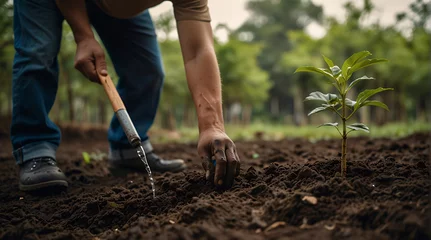 Fotobehang Person planting trees or working in community garden promoting local food production and habitat restoration, concept of Sustainability and Community Engagement, created with Generative AI technology © Abdul