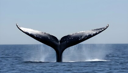 a-blue-whale-with-its-flippers-outstretched-glidi-