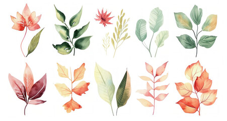 Watercolor illustration of various types of leaves and flowers on a white background