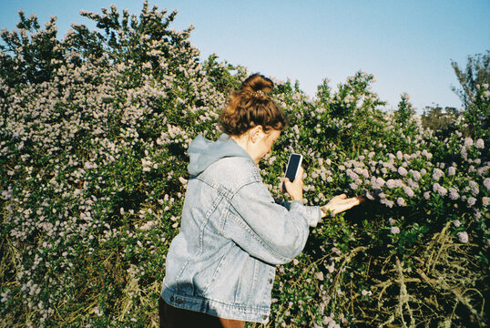 Young woman making a photo of floral bush with her phone