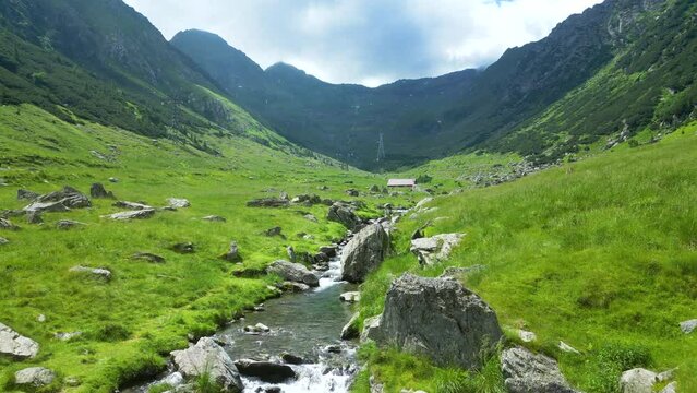 Aerial Video Over Water Stream In Mountain Valley