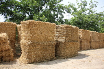 Straw is the dry stems of cereal crops remaining after threshing.