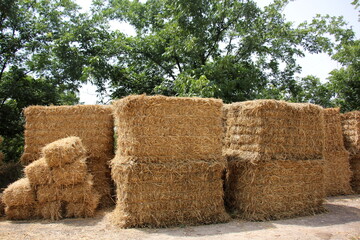 Straw is the dry stems of cereal crops remaining after threshing.