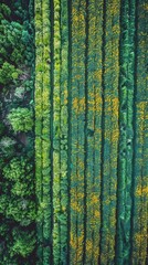 Winding Road Through Lush Green Field
