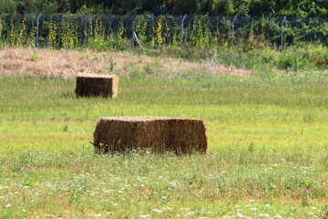 Straw is the dry stems of cereal crops remaining after threshing.