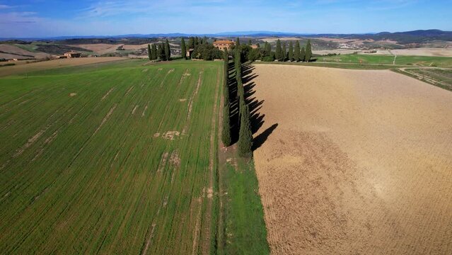 Italy, romantic Tuscany scenery with typical cypresses road .famous region Val d'Orcia. aerial drone video over sunset 