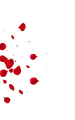 Red_Rose_Petal_Vector_Background_135.eps
