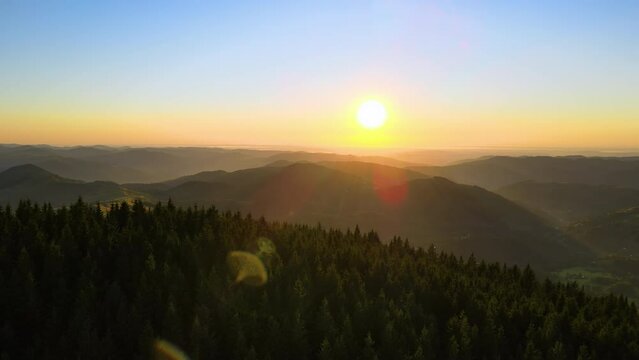 Dark pine forest illuminated with bright setting sun. Aerial view of colorful sunset in wild mountains. Beautiful nature landscape