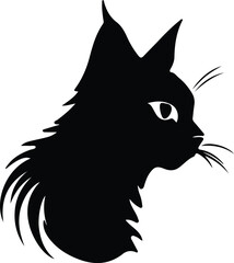 Obraz premium Suphalak Cat portrait