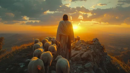 Fotobehang Man Standing on Mountain Surrounded by Sheep © Ilugram