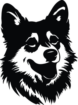 "Swedish Vallhund" Images – Browse 231 Stock Photos, Vectors, and Video