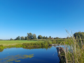 Teichlandschaft