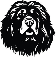 Fototapeta premium Tibetan Mastiff portrait