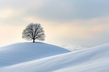 Fototapeta na wymiar A lone tree stands proudly on top of a hill covered in a thick layer of snow, creating a striking winter landscape, A lone tree on a serene, snowy hill, AI Generated