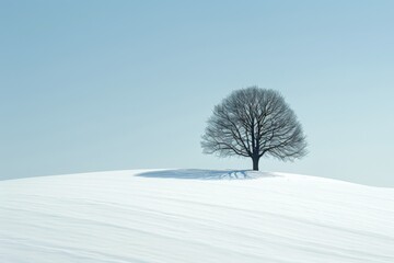 An image of a single tree standing alone on a hill covered in snow, A lone tree on a serene, snowy hill, AI Generated