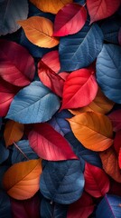 Close Up of Plant With Red and Blue Leaves