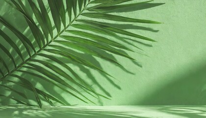 Subtle Silhouette: Blurred Palm Leaf Shadow on Light green Wall - Minimal Abstract Background for Product Presentations