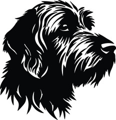 Wirehaired Pointing Griffon portrait