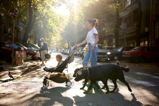 Family crosses the street