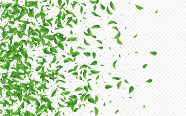 2560x1600ggr15__leif_8_01.eps