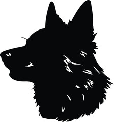 Schipperke portrait