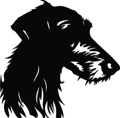 Scottish Deerhound portrait