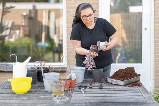 Woman planting seedlings in pots