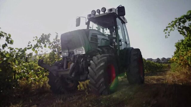  Farm tractor moves between rows vines on winery