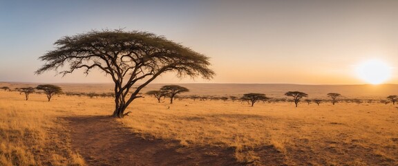 Landscape Africa, vast plains of the Serengeti, golden, hour - obrazy, fototapety, plakaty