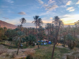 Camping amidst palm trees in the village Dechra Hamra, the town of El Kantara. Biskra. Algeria