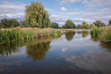 Fototapeta na wymiar Sky reflection in lake, Bushy Park, London