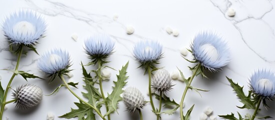 A beautiful arrangement of blue and white flowers, including dandelions, on a white surface. The contrast of colors creates a stunning display of natures beauty