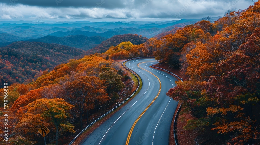 Poster a road with a long curve and trees in the background