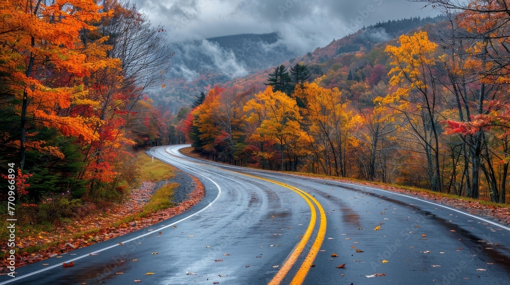 Poster a road with a yellow line down the middle and trees on either side. the road is wet and covered in l
