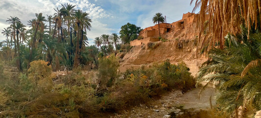 Panoramic view of a palm oasis in the village Dechra Hamra, the town of El Kantara. Biskra. Algeria