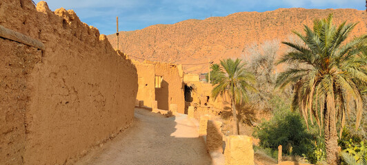 Old clay buildings among palm trees in the village Dechra Hamra, the town of El Kantara. Biskra....