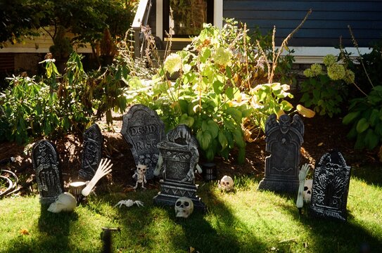 Halloween Decorations
