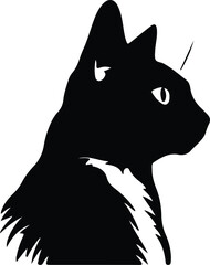 Snowshoe Cat portrait