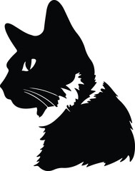 Obraz premium Snowshoe Cat portrait